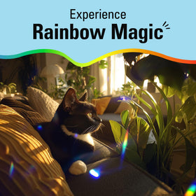 Family-friendly window decor with moving rainbows from the Rainbow Maker.