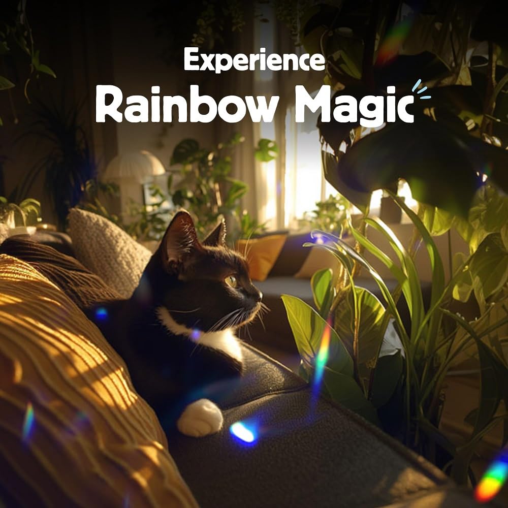 Kikkerland Rainbow Maker enhances room ambience with sunlit color refractions