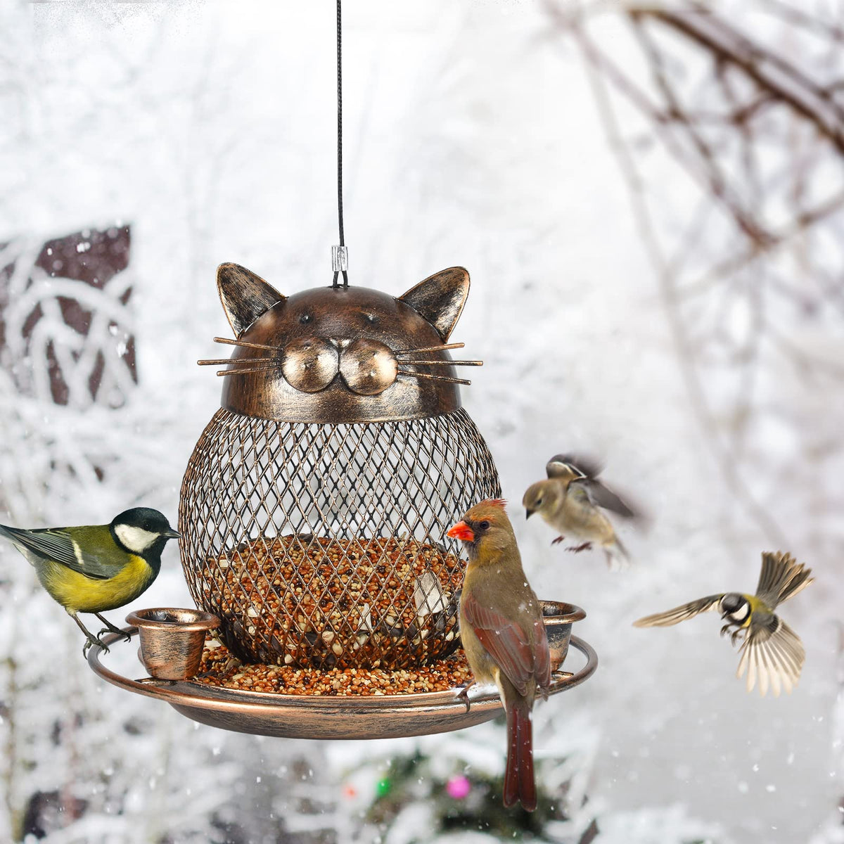 KIMCHOMERSE perfect gift for nature lovers who enjoy bird watching.