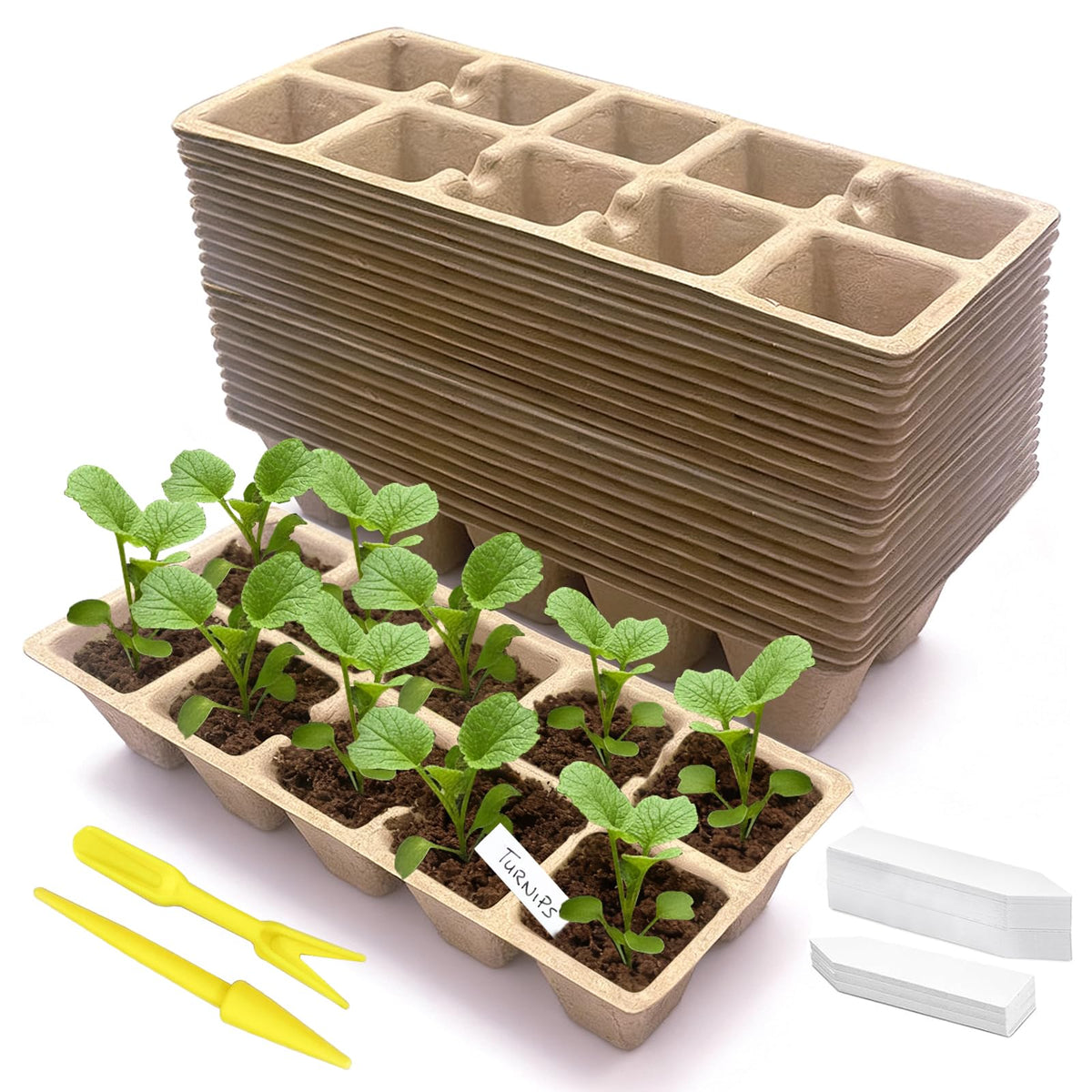 Kimdozee 240-cell seed starter tray for organized indoor germination.