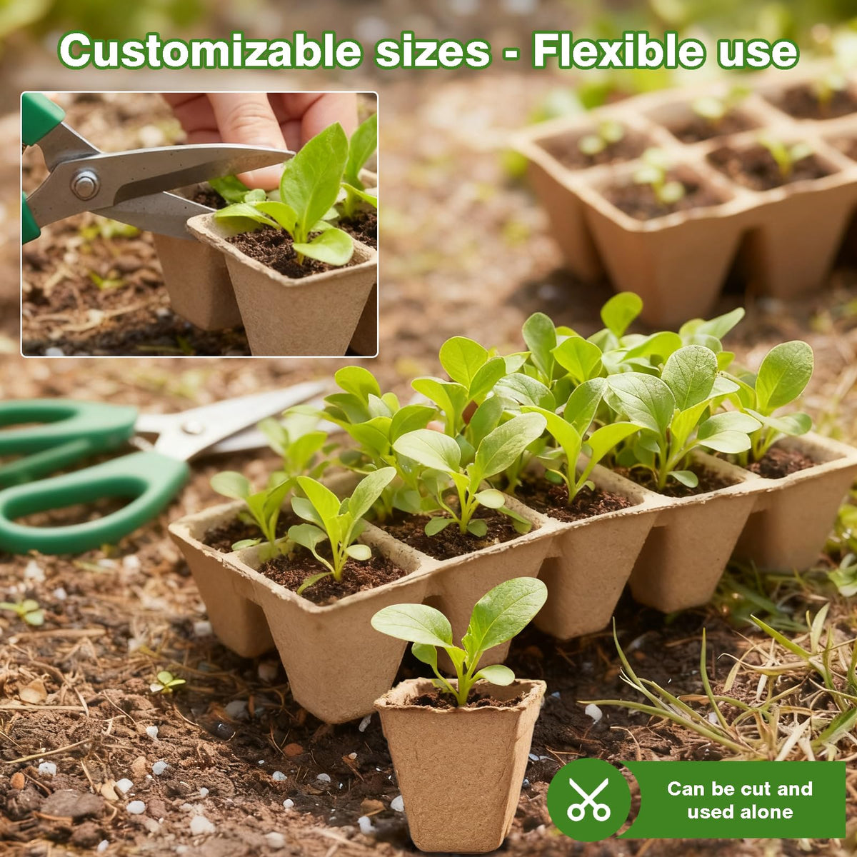Kimdozee complete seed starter kit includes pots, labels, and transplant tools.