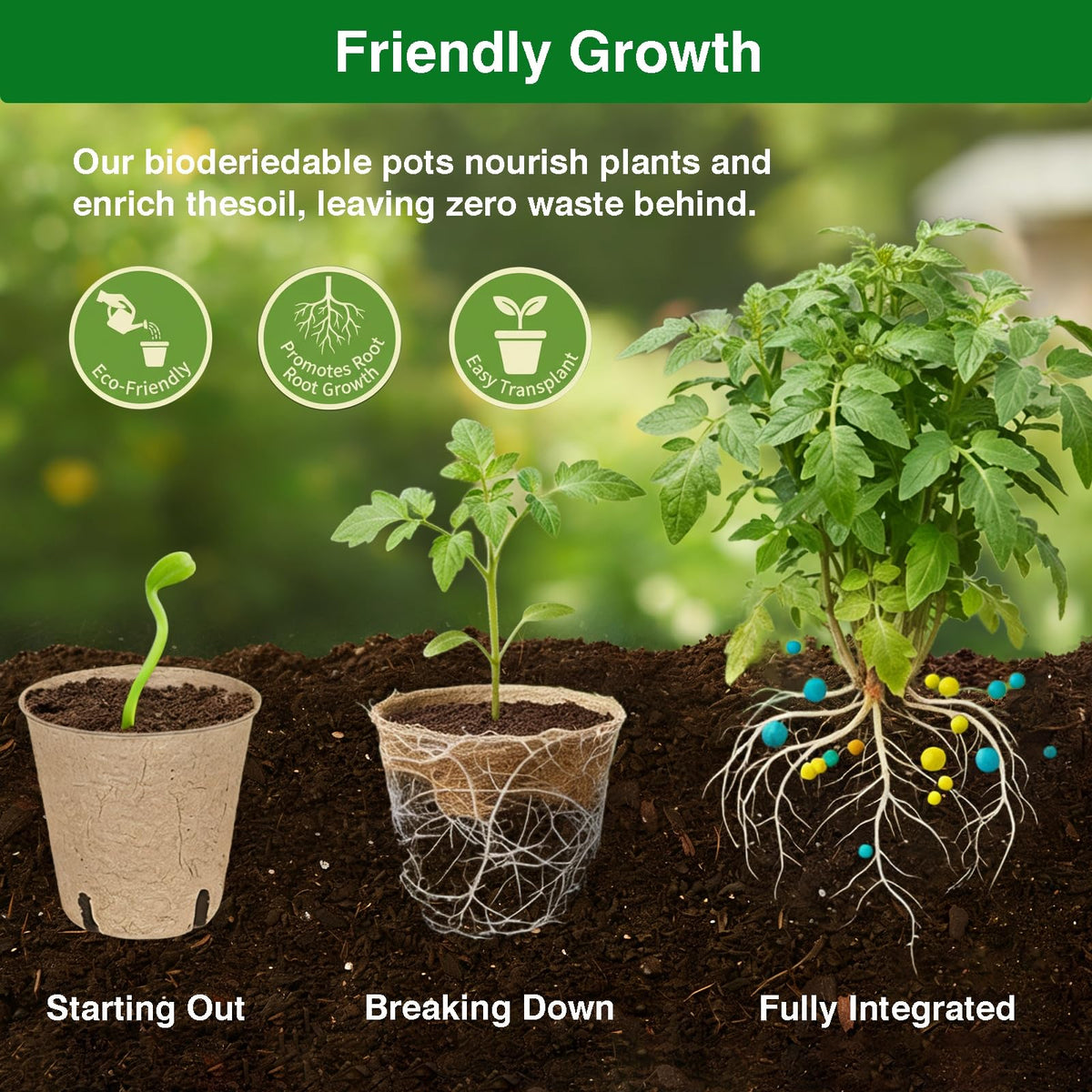 Kimdozee mini transplanting tools for gentle pot-to-soil transfers.