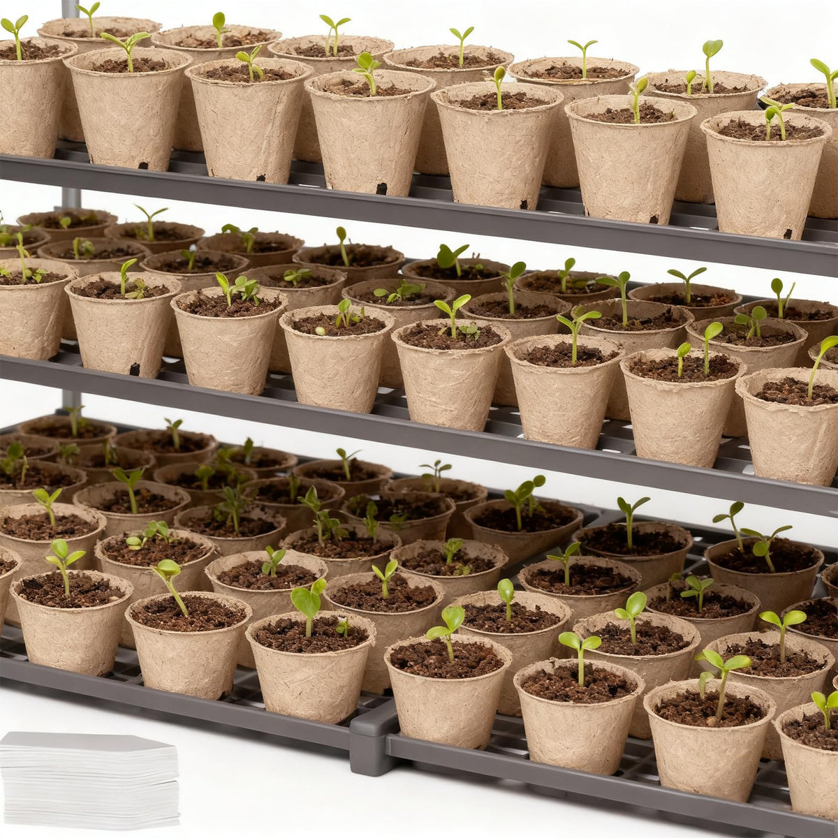 Kimdozee packaged seed start kit ready for setup and sowing.