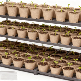 Kimdozee packaged seed start kit ready for setup and sowing.