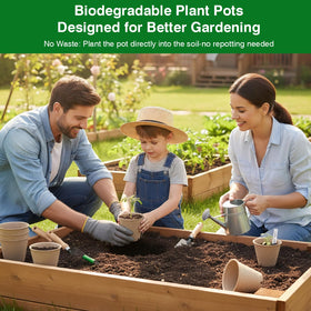 Seedling pot in soil showing easy transfer to garden beds.