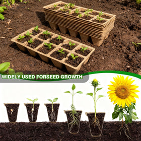 Kimdozee transplant tools included for precise seedling handling.
