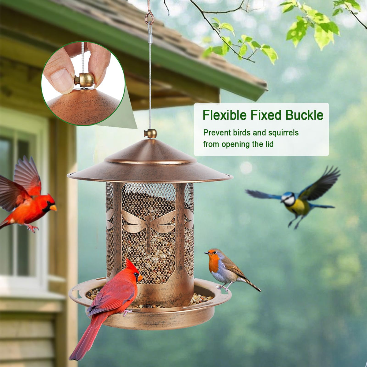 Kimerse stainless steel bird feeder cleans easily with water for quick maintenance.