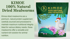 Kimoe dried mealworms for eggs, potential boost to egg production quality.