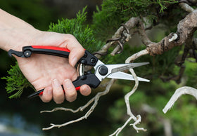 Kimura 8" Pro Pruning Scissors in garden scene performing clean cuts on fresh growth