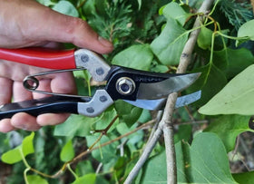 Kimura Samurai pruner left-right-handed design enables universal grip.