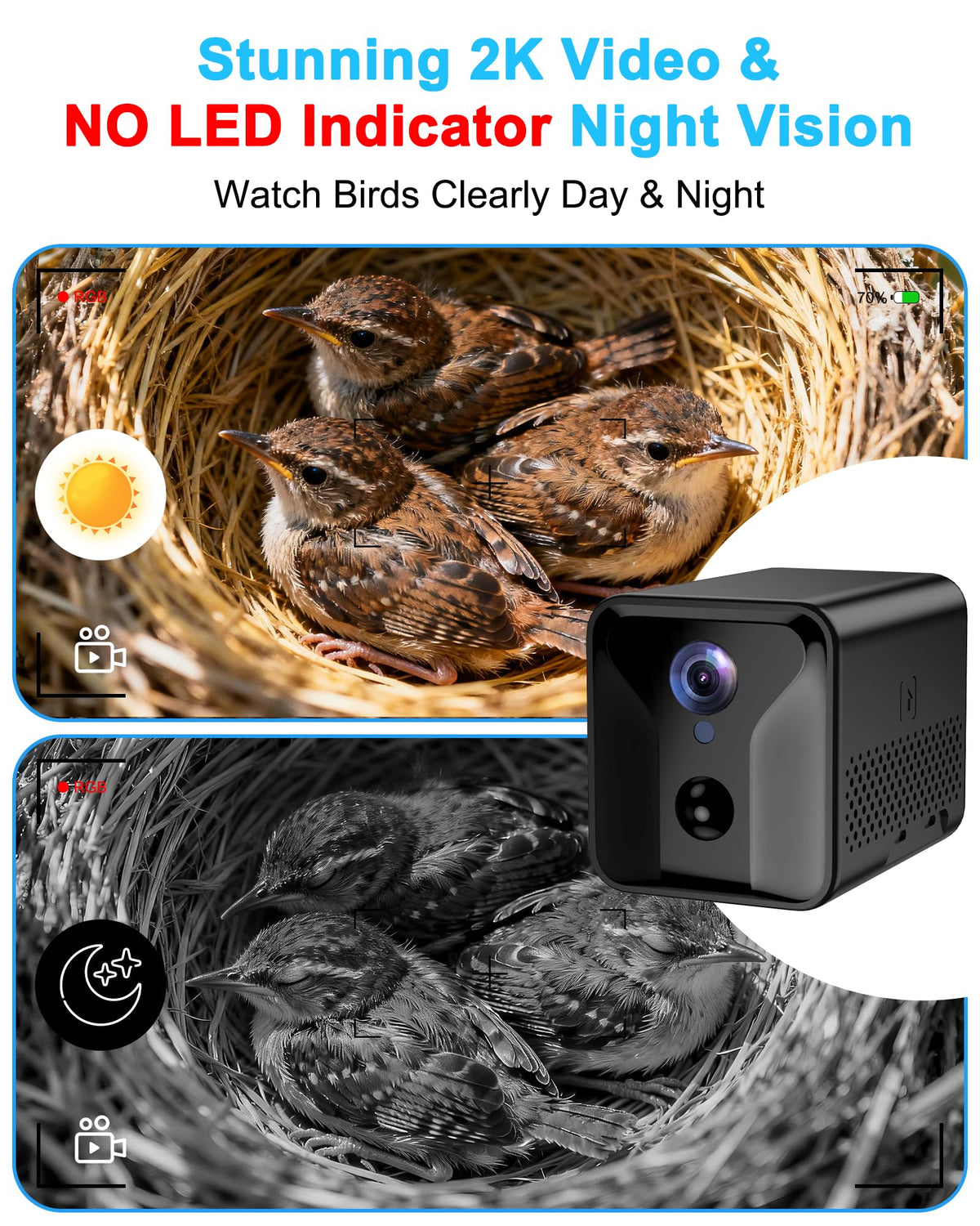 KinetCam no night glow design preserves natural behavior of small birds.