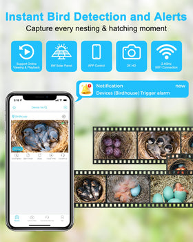 KinetCam PIR motion sensor sends real-time alerts to your phone.