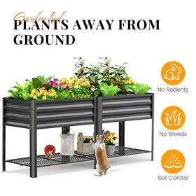 King Bird bed with 80-gallon soil capacity for abundant planting