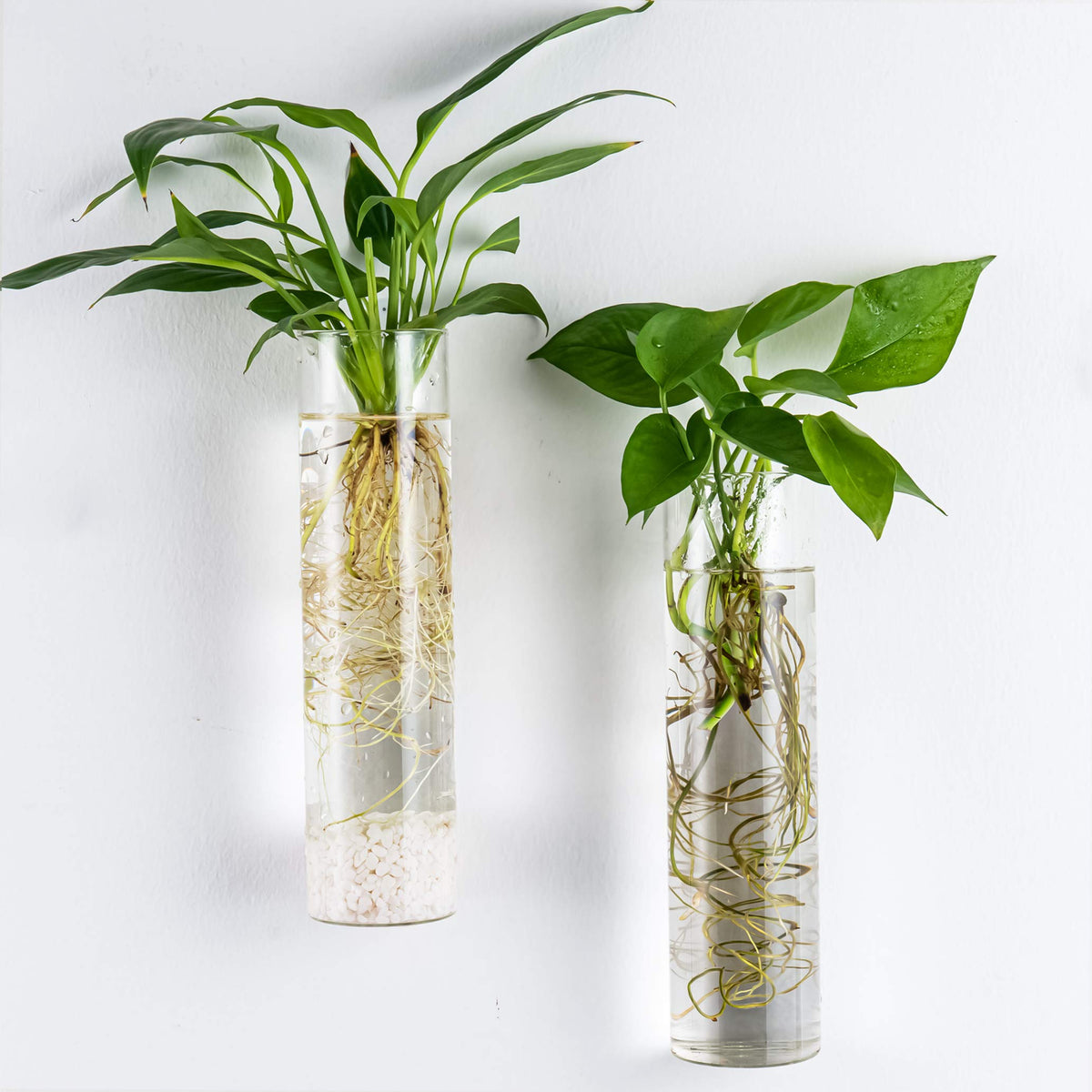 Kingbuy hanging glass vases arranged for elegant indoor decor