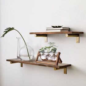 Kingbuy hydroponics-friendly display to brighten kitchen or desk space