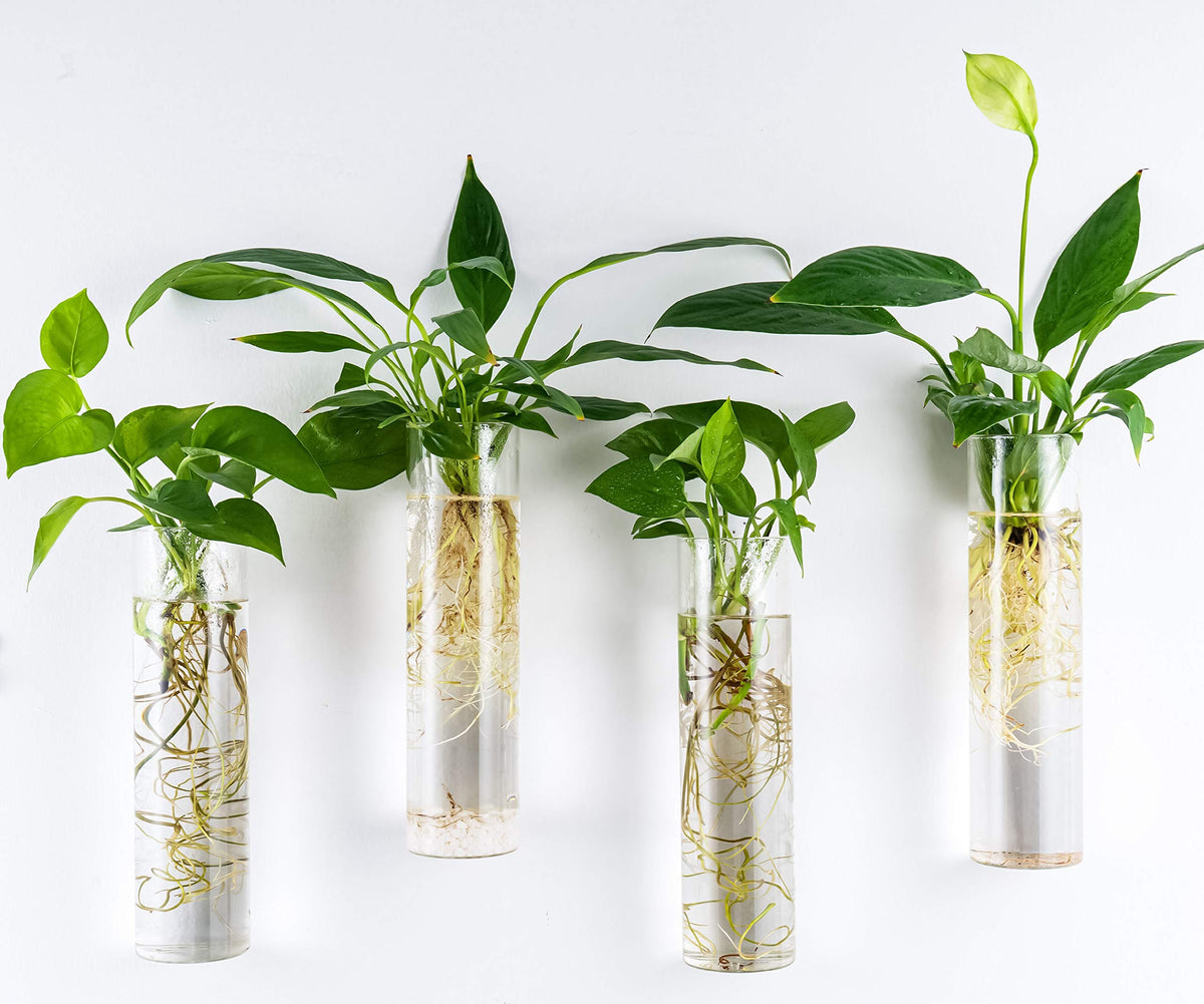 Kingbuy indoor wall decor supports lightweight plants and greenery