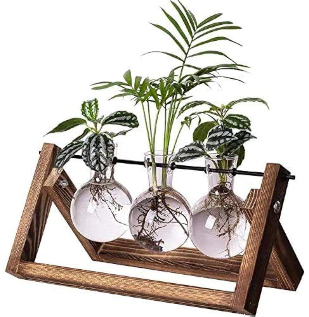 Kingbuy plant terrarium station with three bulb vases for propagation and display