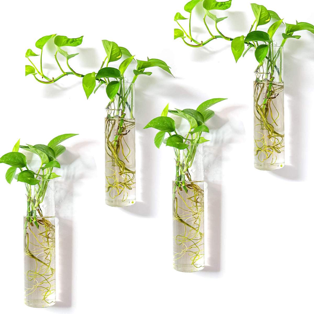 Kingbuy wall-mounted terrarium with four cylinder glass tubes for space-saving plant display