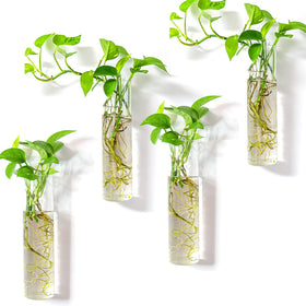 Kingbuy wall-mounted terrarium with four cylinder glass tubes for space-saving plant display