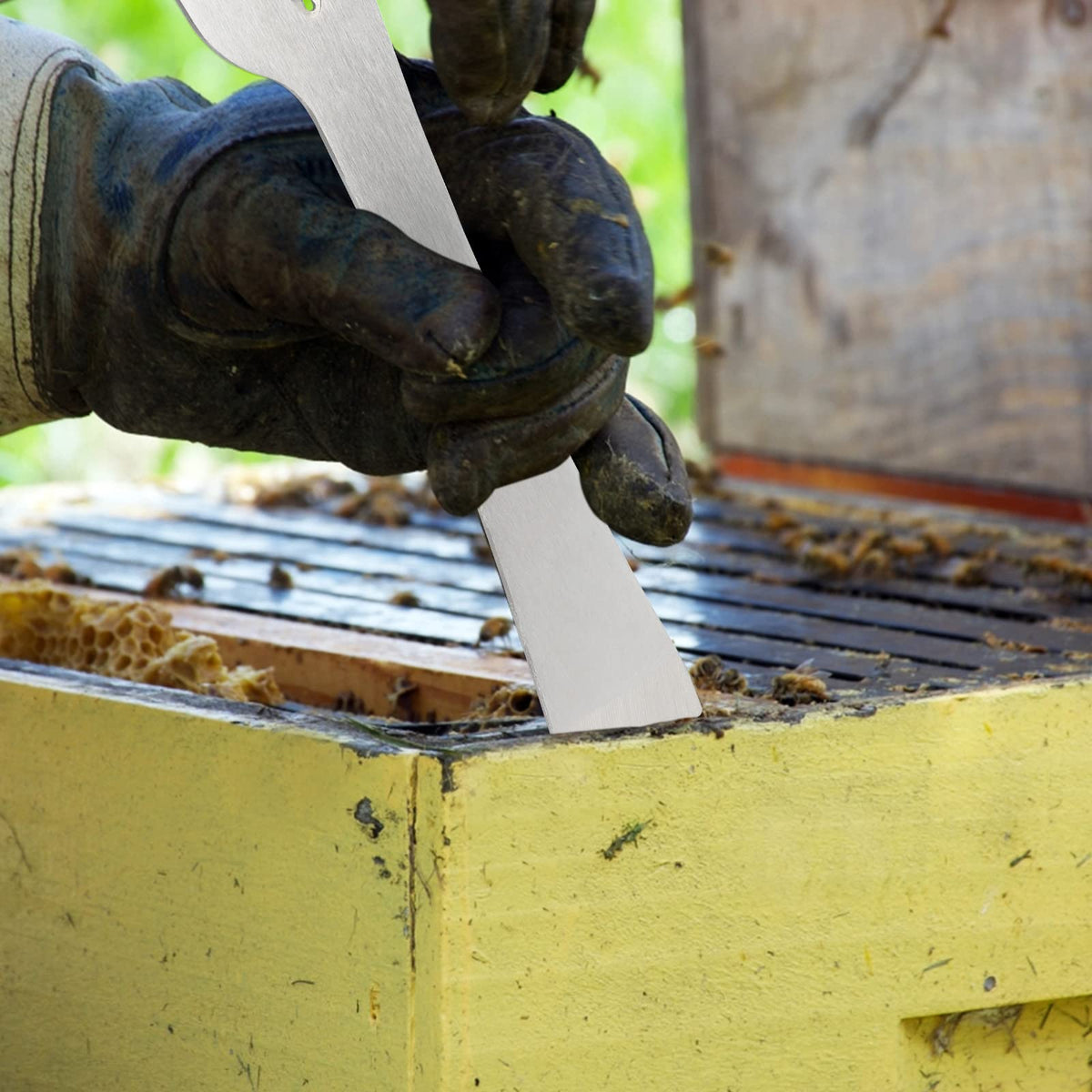 KINGLAKE 10-inch hive scraper designed for durable hive work.