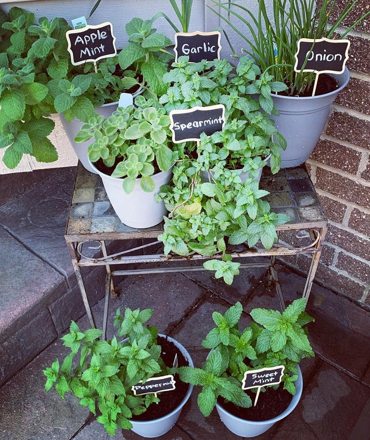KINGLAKE 20-pcs pack keeps your garden labels organized and reusable.