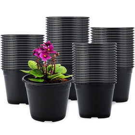 Kinglake 4-inch plastic pot top view shows sturdy, reusable design for seed starting.