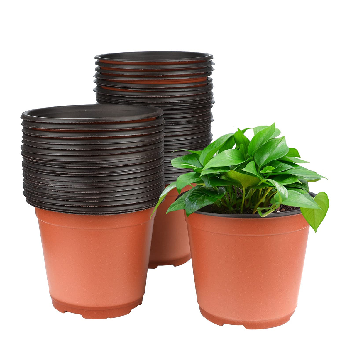 KINGLAKE 6inch seed starting pot for easy seedling germination