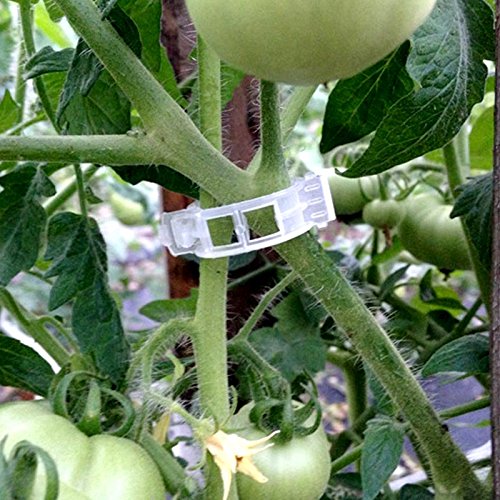 Kinglake bean support clips with easy clip-and-release action
