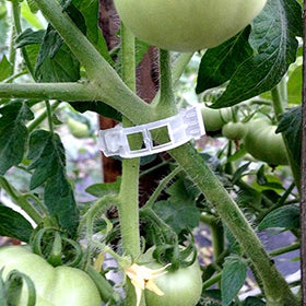Kinglake bean support clips with easy clip-and-release action