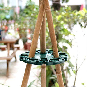 KINGLAKE cane holder used with peas and beans for climbing plants