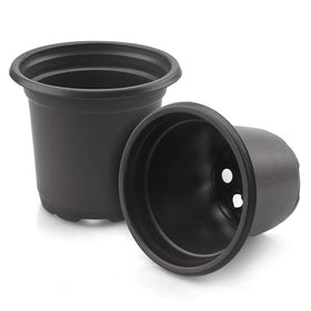 Kinglake cuttings pot 4-inch black enables easy transplanting.