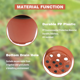 KINGLAKE easy-use pot requires no assembly for quick setup
