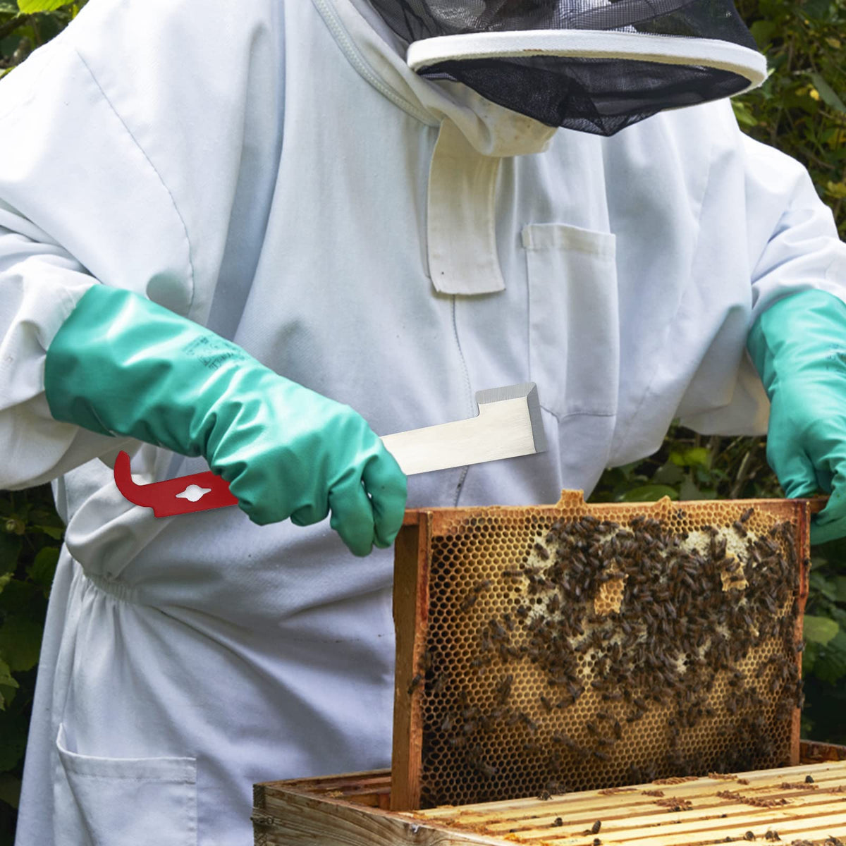 KINGLAKE GARDEN compact beekeeping toolset for on-the-go work.