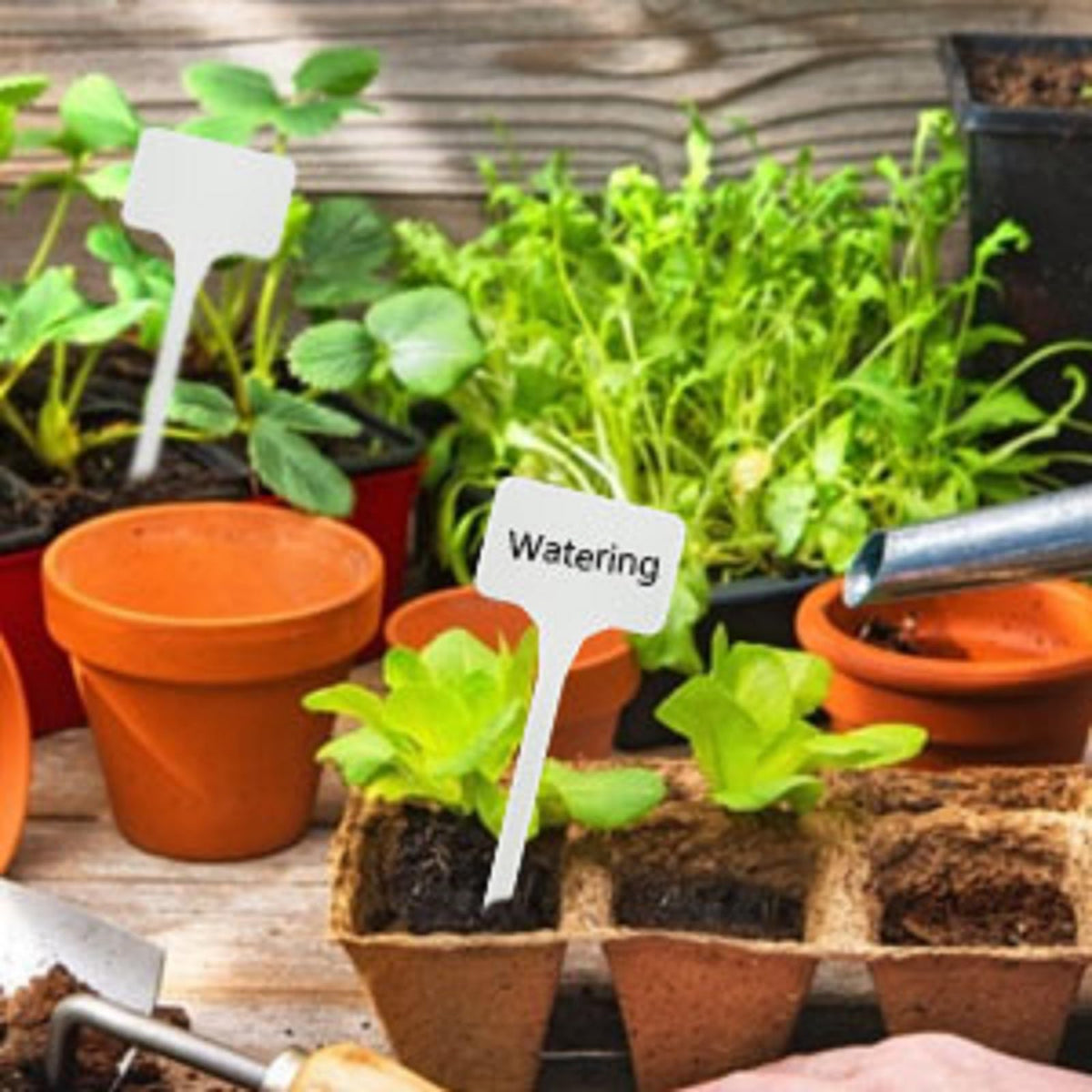 KINGLAKE GARDEN easy-to-use labels for garden organization and planning