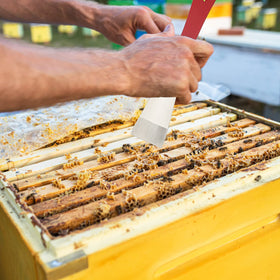 KINGLAKE GARDEN J-hook frame lifter aids efficient hive maintenance.