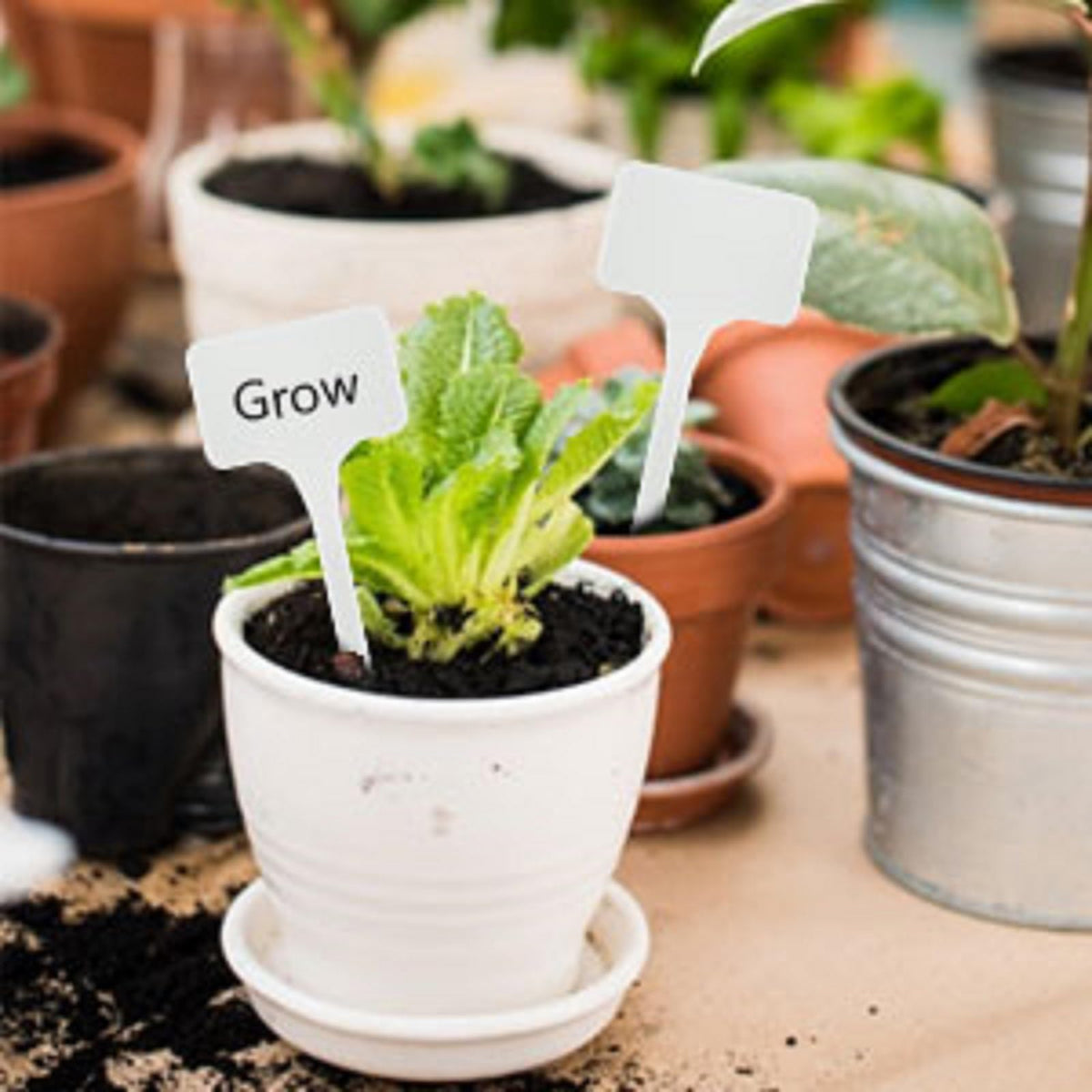 KINGLAKE GARDEN 5.9 inch plant labels provide clear visibility