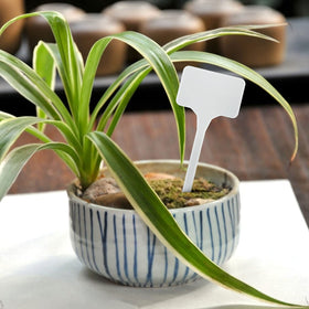 KINGLAKE GARDEN plant labels for flower beds and pots