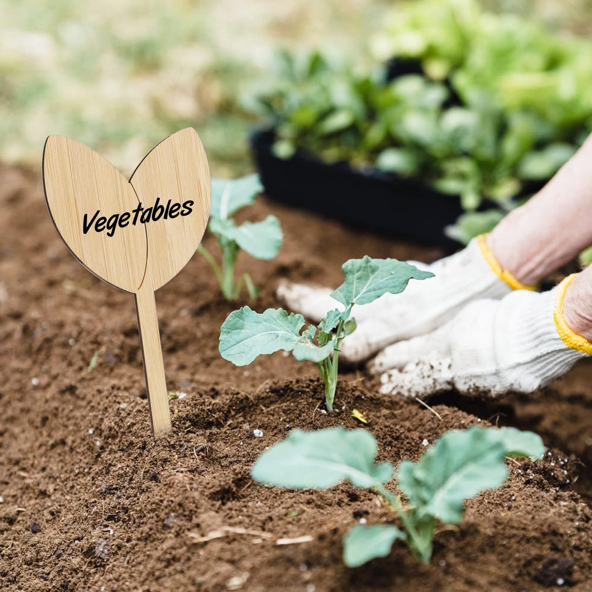 Kinglake Garden reusable bamboo tags reduce waste and re-label each season.