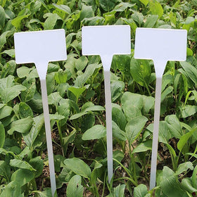 KINGLAKE GARDEN smooth-edge labels protect hands while marking plants