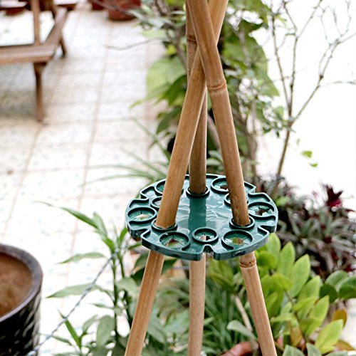 KINGLAKE green holder blends with foliage for neat garden aesthetics