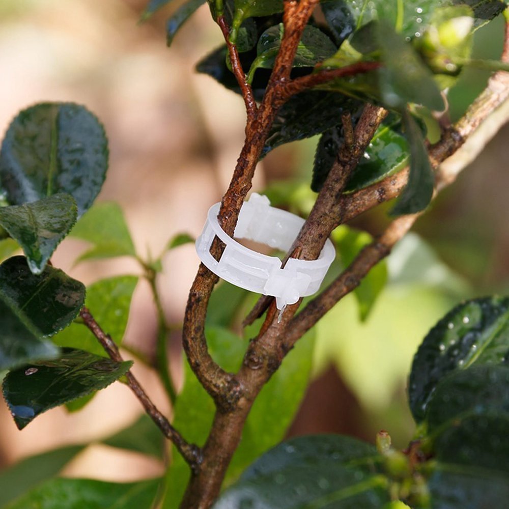 Kinglake locking tab design clips simplify garden setup