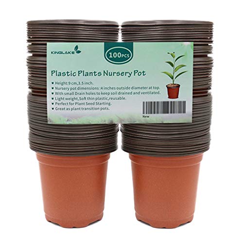 Kinglake lightweight yet durable 4-inch pots for frequent reusing.