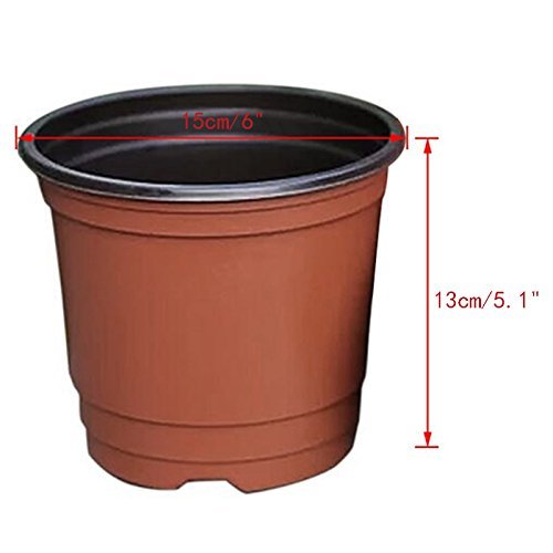 KINGLAKE plastic seedling pot offers lightweight support for roots