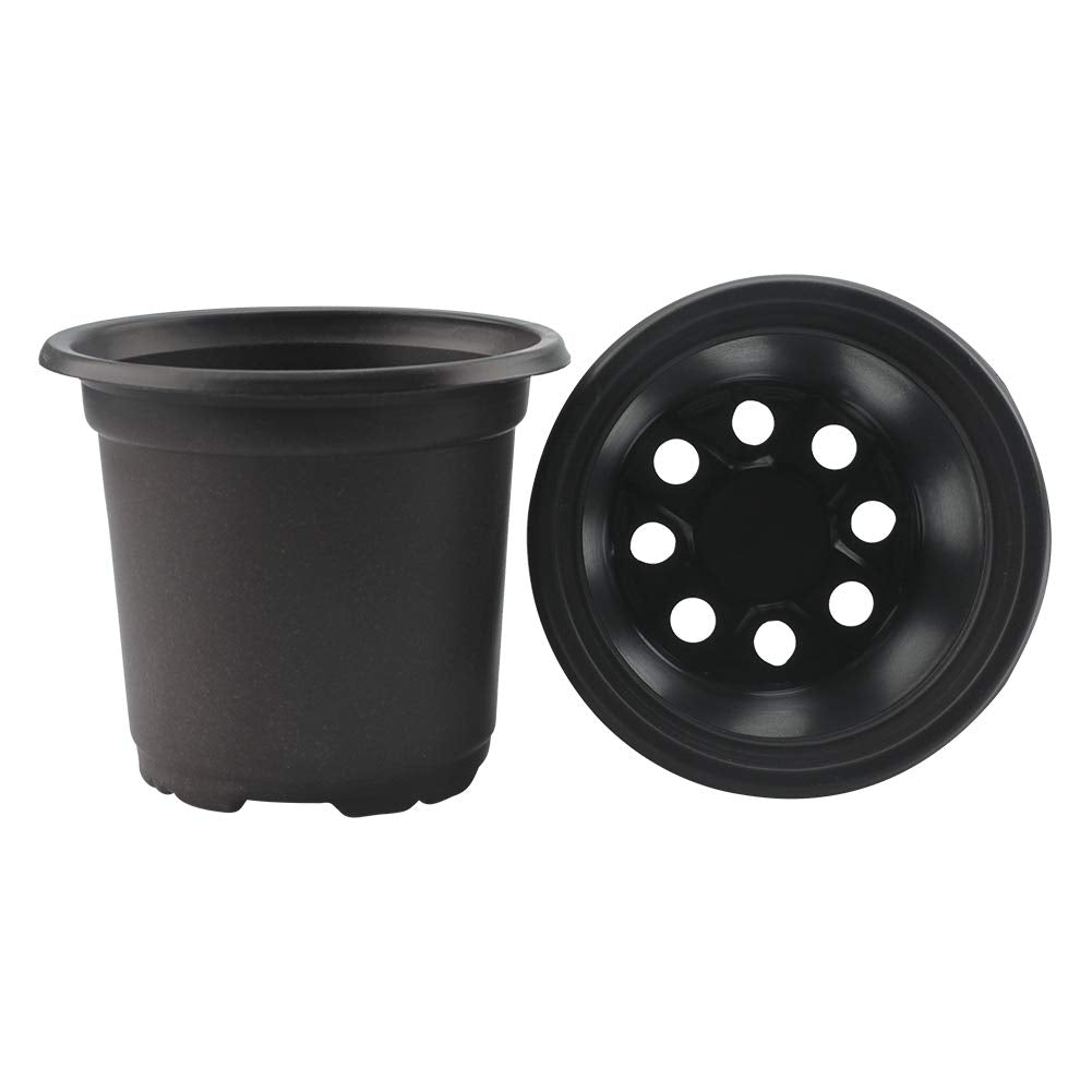 Kinglake seed-starting pot 4-inch black ideal for early-stage growth.