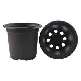 Kinglake seed-starting pot 4-inch black ideal for early-stage growth.