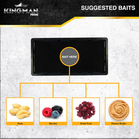 Kingman Prime glue traps made in Korea with high craftsmanship.
