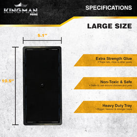 Kingman Prime pack of 10 large traps ready for quick deployment in stores.