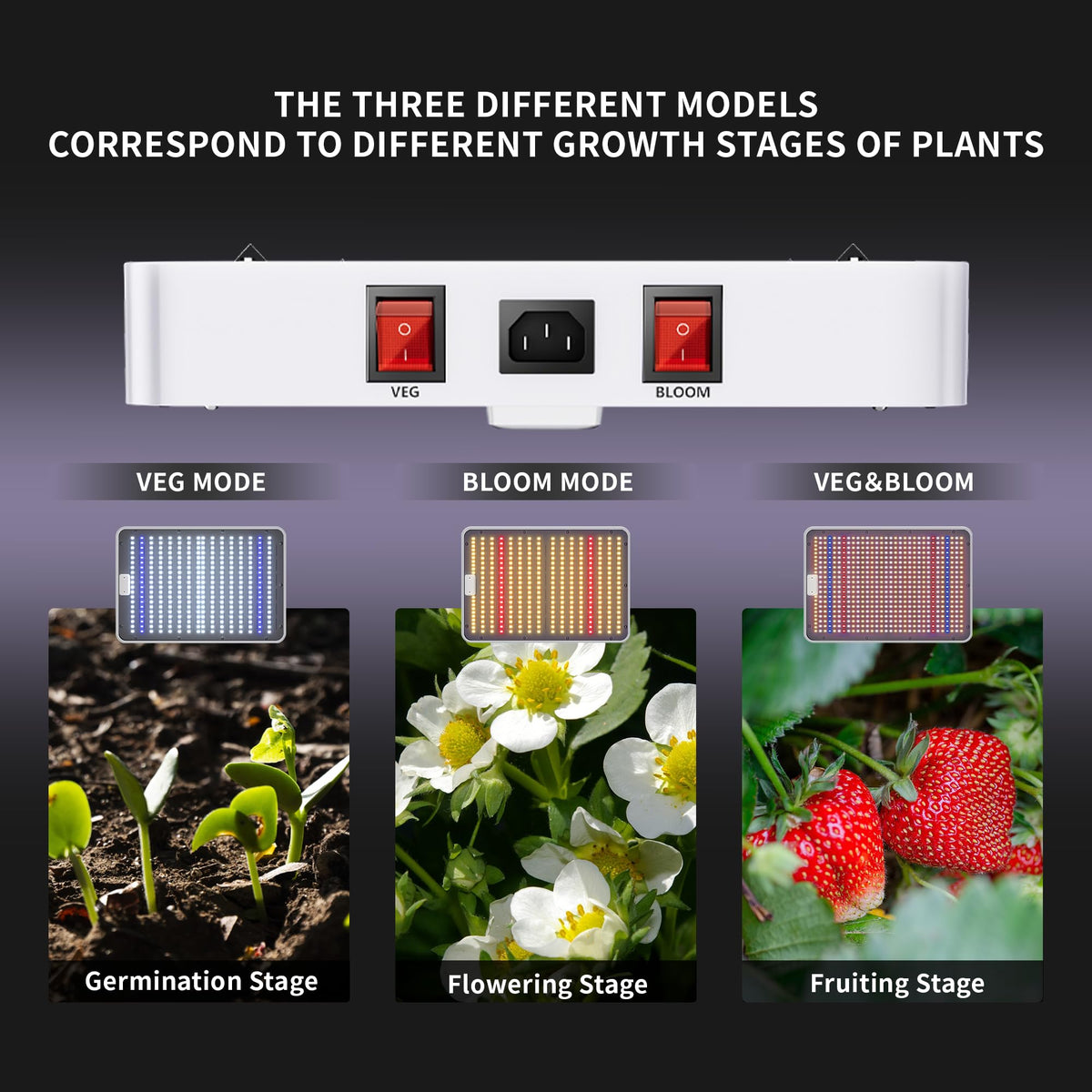 KingPLUS KP1000 mounted in a tent shows adjustable height for veg and bloom