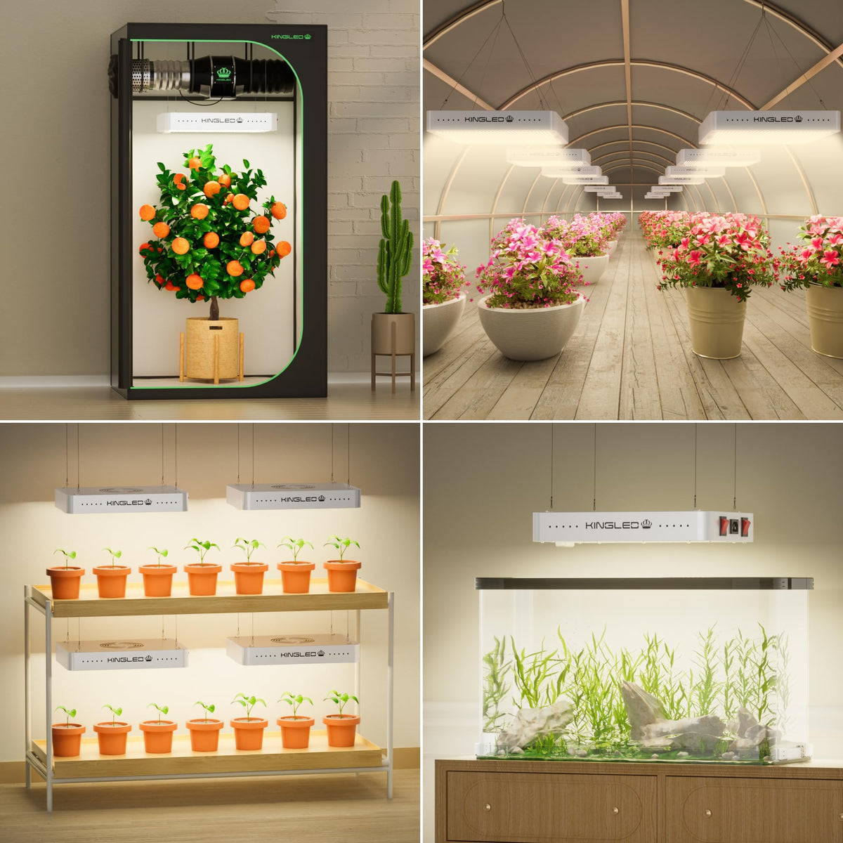 KingPLUS KP1000 in hydroponics setup supports steady growth