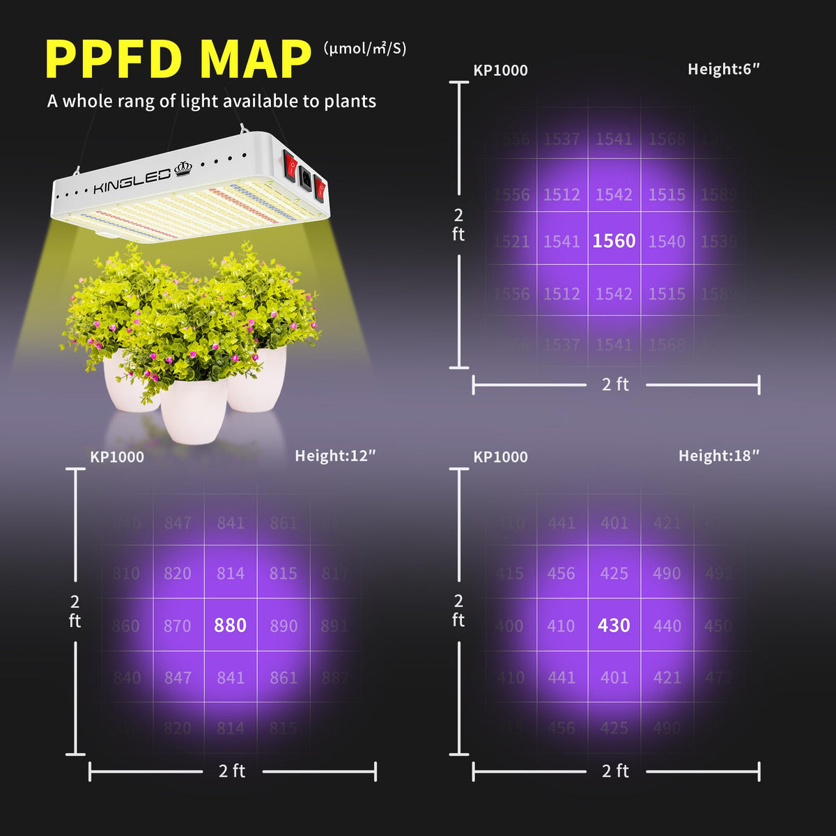 KingPLUS KP1000 close-up of LED array for uniform coverage